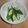 きらり流れ星's cooksnap of when they made オクラの煮浸し.