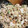 華ちー's cooksnap of when they made お弁当作り置き簡単☆きのこのタラコ炒め.