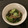 Hirarinn☆'s cooksnap of when they made いかなごのくぎ煮と胡瓜の酢の物♪.