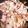 ♬あじさいのレシピ♬'s cooksnap of when they made シンプル☆シイラとキャベツのバターソテー.