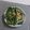 メイプル⌘'s cooksnap of when they made 生の小松菜のニンニクチップサラダ♪.