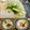 melmarilyn's cooksnap of when they made 青梗菜のニンニク炒め.