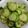 ナオファミ's cooksnap of when they made あまずっぱいきゅうり.