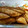 こころんち☆'s cooksnap of when they made 時短で簡単！さわら（魚）の煮付け.