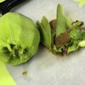 mother☆'s cooksnap of when they made キウイ☆ピーラーで簡単な皮のむき方.