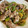 クックYP5QLM☆'s cooksnap of when they made ゴーヤと豚肉の梅肉とろみ炒め.