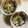クック78R779☆'s cooksnap of when they made 梅キノコ.