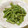 papepo☆'s cooksnap of when they made いんげん消費に！花椒とにんにく炒め.