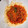 くうたま1117's cooksnap of when they made 我が家のミートソース.