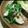 くまのっぽ's cooksnap of when they made サバ缶でイタリアン無限茄子*レンジ加熱.