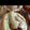 maruchan77's cooksnap of when they made イチジクマフィン.