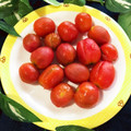 2880naaao's cooksnap of when they made 簡単♪ミニトマトの皮の湯剥き／裏ワザ.