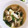 c15's cooksnap of when they made 鶏ときのこのうまみ！豆腐のとろとろスープ.