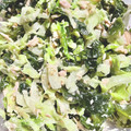 サニデ's cooksnap of when they made 簡単キャベツとツナワカメめんマヨサラダ.