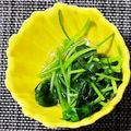 Ry87's cooksnap of when they made みつばのおひたし.