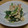 IB6UB9's cooksnap of when they made ほうれん草の白和え.