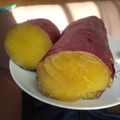 クック39CTT7☆'s cooksnap of when they made オーブンでねっとり焼き芋！.