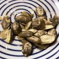 ちーずけぇき☆'s cooksnap of when they made レンジで簡単☆かぼちゃの種.