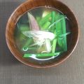 horseland's cooksnap of when they made 茗荷とニラのお味噌汁.