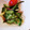わぞう's cooksnap of when they made ゴーヤーと茗荷の和風ピクルス.