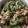 クック78R779☆'s cooksnap of when they made 絶対に苦くない！ゴーヤと厚揚げ炒め☆.