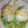 milestone★'s cooksnap of when they made シュウマイのおろし和風蒸し.
