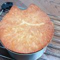 yuccoママ☆'s cooksnap of when they made ねこパン(プレーンとしましまねこ).