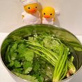 kunyama's cooksnap of when they made しおれたパクチーが蘇るーΣ(ﾟДﾟ).