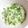 クックGB6431☆'s cooksnap of when they made 大葉クリームソース.