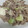 Citycycles's cooksnap of when they made スタ丼の上の肉(自分用).