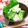 あわ雪りんご's cooksnap of when they made タコとオクラのわさび醤油.