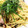 クックミッコ☆'s cooksnap of when they made きのことベーコンほうれん草の和風パスタ♪.