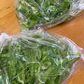 0720まま's cooksnap of when they made ピーマンの冷凍保存.