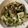 scanty's cooksnap of when they made あさりと豆腐のボリューム酒蒸し.