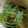 チップ304's cooksnap of when they made ２分で完成！水菜とお揚げのおひたし♡.