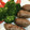 saki1010's cooksnap of when they made お手軽♪手作りソーセージ.