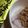 AiYuKE's cooksnap of when they made 納豆ごはんを、韓国のりで巻いて食べる！.