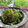 トミュー？'s cooksnap of when they made 箸が止まらない！タラコとピーマン炒め.