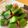 ぶぅと's cooksnap of when they made 給食メニュー　オクラかつお節あえ.