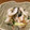 QPはにー's cooksnap of when they made 簡単！はるさめちくわのさっぱり副菜.
