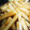 yknobi's cooksnap of when they made 大量消費に！じゃがいもとハムのとろとろ煮.
