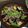 クロ８５'s cooksnap of when they made 夏☆茄子としし唐の肉味噌炒め.