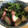ゆ0518か's cooksnap of when they made ほうれん草とかまぼこのごま和え.