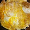 カジュアルねこ's cooksnap of when they made チキンカツの翌日は、チキンかつ丼♪.