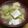 北京パンダ's cooksnap of when they made 白菜と豆腐の生姜スープ.