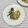 おはなすき's cooksnap of when they made 鶏もも肉の粒マスタード焼き.