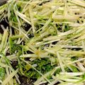 tomitomico's cooksnap of when they made 水菜 大量消費♬ゴマポンで無限水菜.