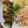 クックGYZASK☆'s cooksnap of when they made 下味つけて旨味アップ♪鯖のカレー粉焼き.