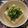 ☆hikonyan☆'s cooksnap of when they made ネギ塩ダレで冷奴.