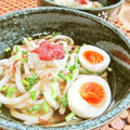 イベ長's cooksnap of when they made 簡単！さっぱり！梅おろしうどん.